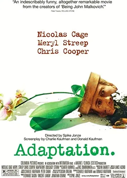Adaptacja
