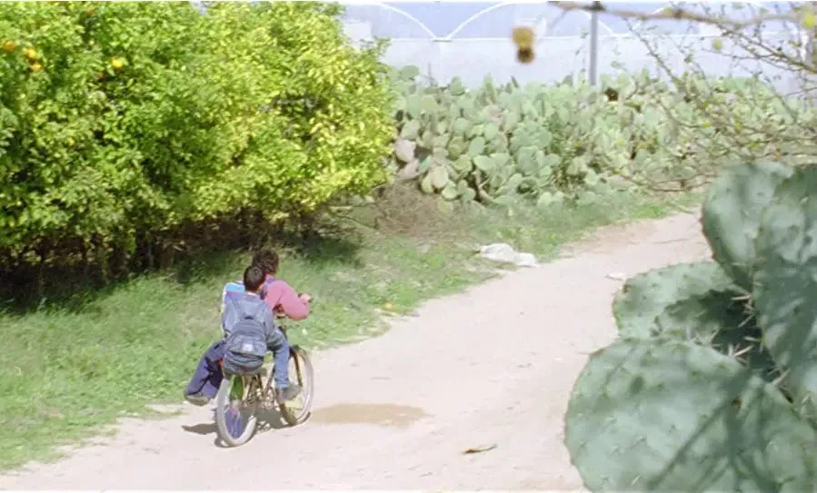 Darmowe filmy
