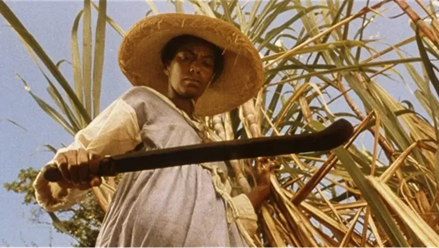 Apartheid Slave-Women's Justice online