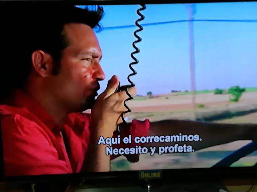 Cachito online
