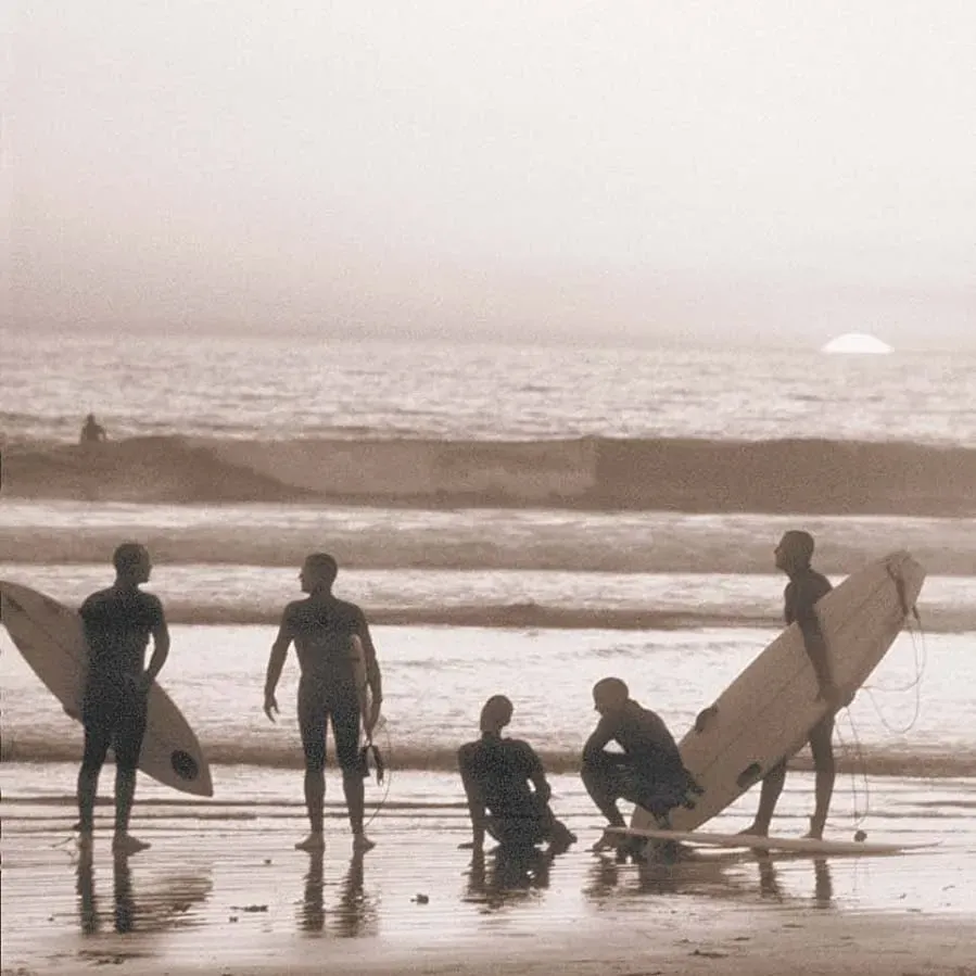Ocean Tribe online